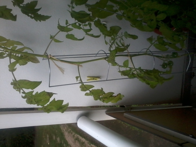 [Bild: 2014-08-2216.21.576wk9q.jpg]