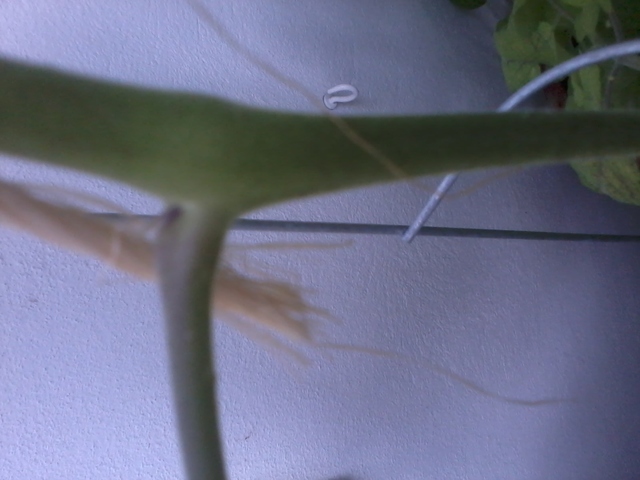 [Bild: 2014-08-2216.22.45esk6g.jpg]