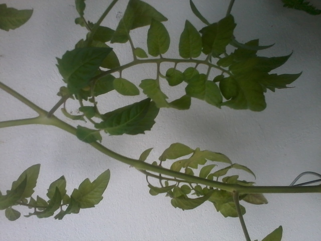 [Bild: 2014-08-2216.22.54wwk0y.jpg]