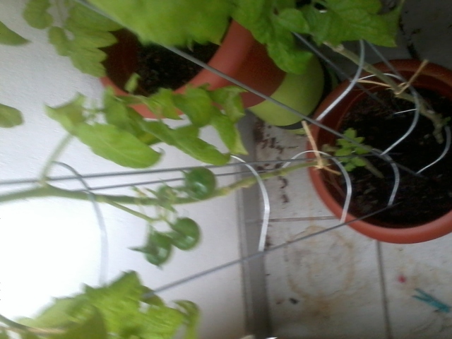 [Bild: 2014-08-2216.22.58a9k6d.jpg]