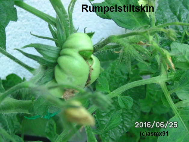 [Bild: bild00030dk9o.jpg]