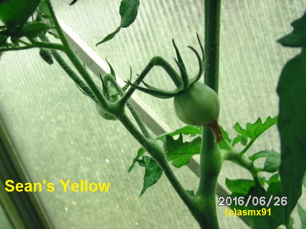 [Bild: bild001299lrl.jpg]