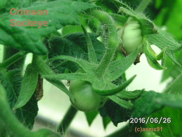 [Bild: bild001359z5r.jpg]