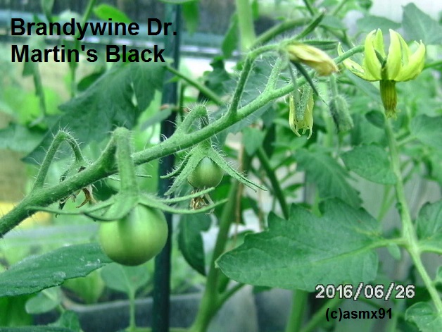 [Bild: bild0014lmy2c.jpg]