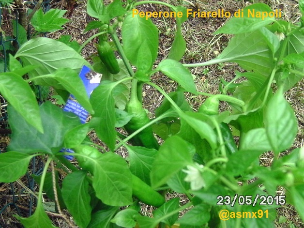 [Bild: bild0032qrrs6.jpg]