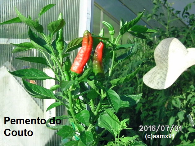 [Bild: bild0039p3s6d.jpg]