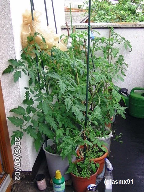 [Bild: bild0048xms7j.jpg]
