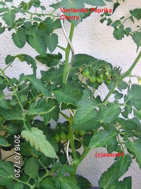 [Bild: bild0090auxez.jpg]