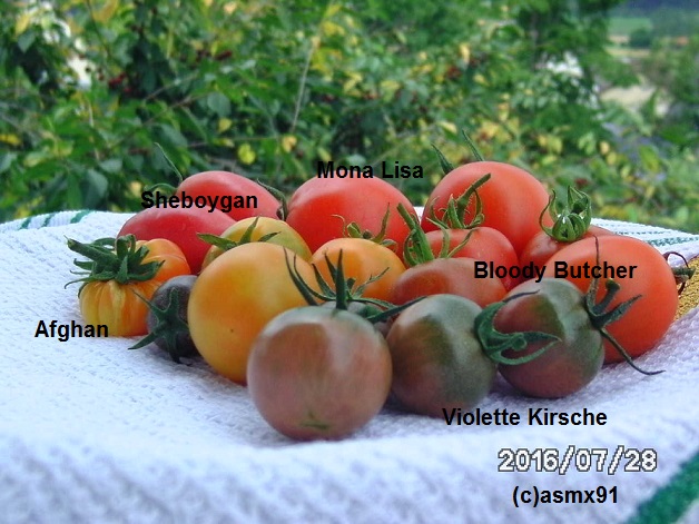 [Bild: bild0119c7sxq.jpg]