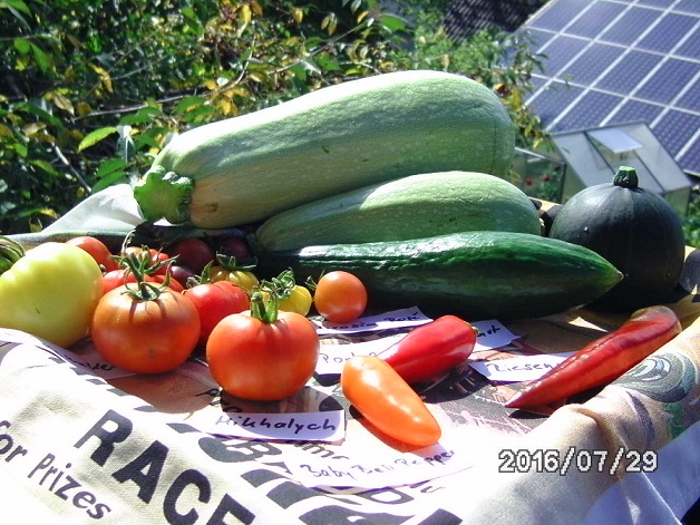 [Bild: bild0130w5srh.jpg]