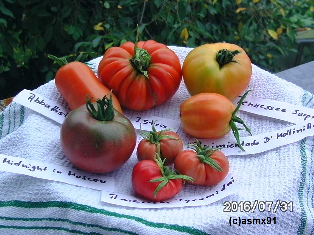 [Bild: bild0137voz5a.jpg]