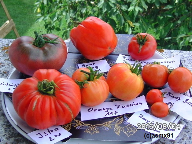 [Bild: bild0161nsr8q.jpg]