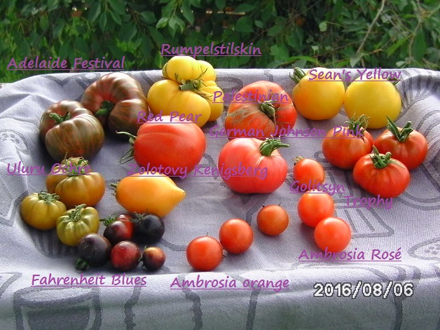 [Bild: bild0168lksp1.jpg]