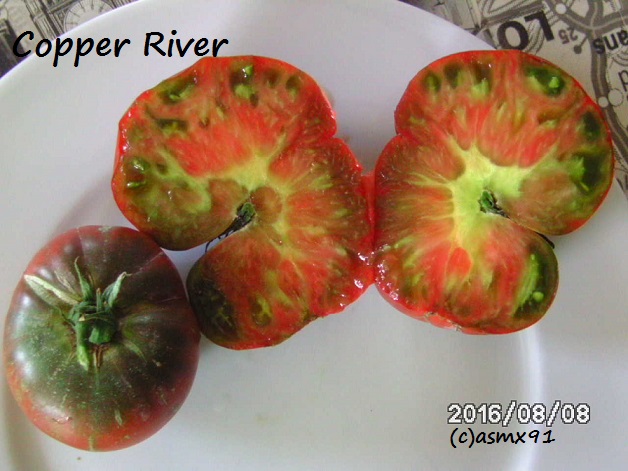 [Bild: bild0188zaod7.jpg]