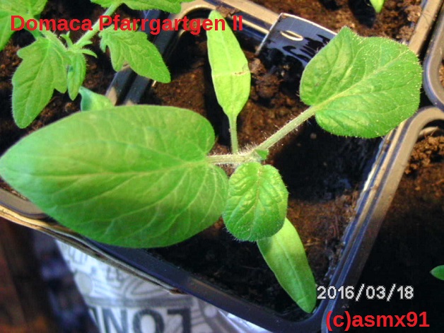 [Bild: bild0199t6sgv.jpg]