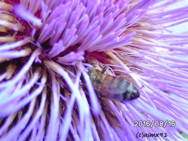 [Bild: bild0209fjsyh.jpg]