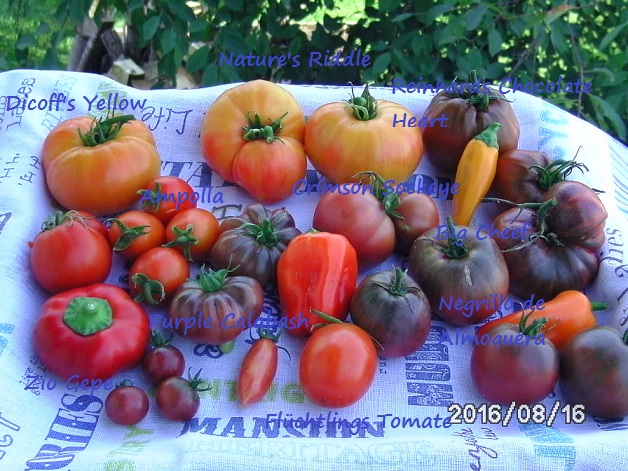 [Bild: bild02116ksax.jpg]