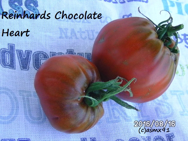 [Bild: bild0214losrm.jpg]