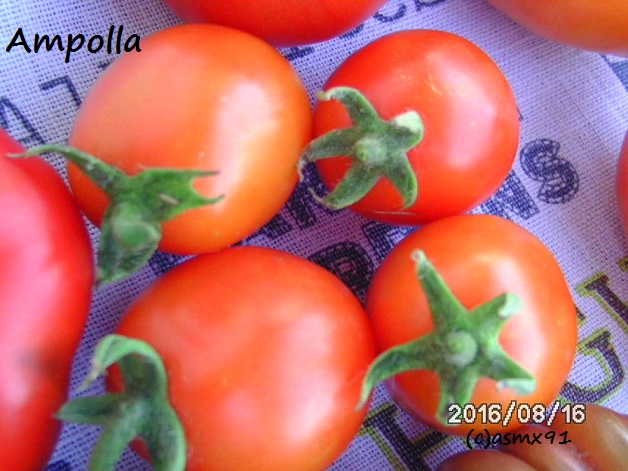 [Bild: bild0216y7saw.jpg]