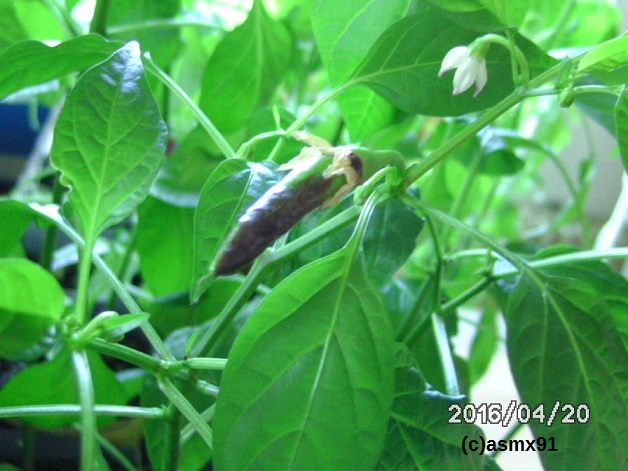 [Bild: bild0228xpu0g.jpg]