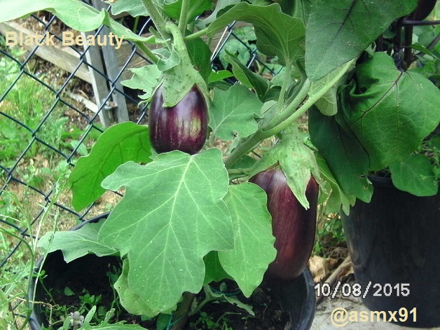 [Bild: bild023063kt6.jpg]