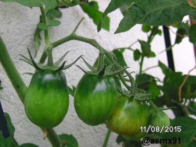 [Bild: bild0234i4slf.jpg]