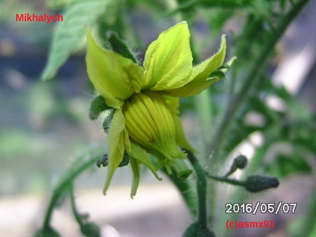 [Bild: bild024198sua.jpg]