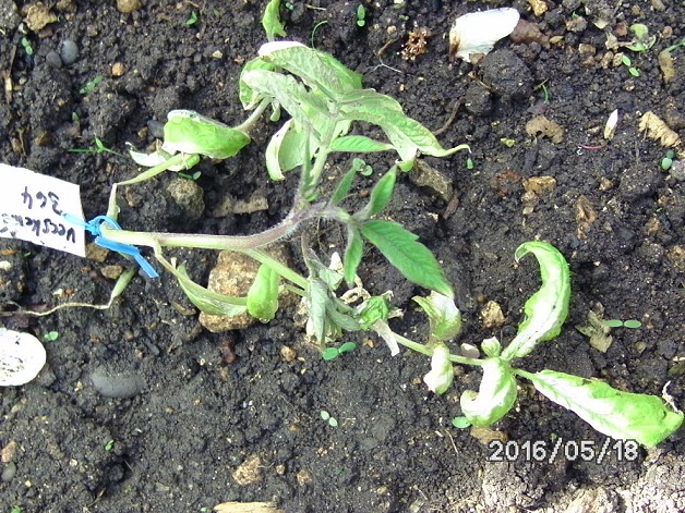 [Bild: bild02561iuu0.jpg]