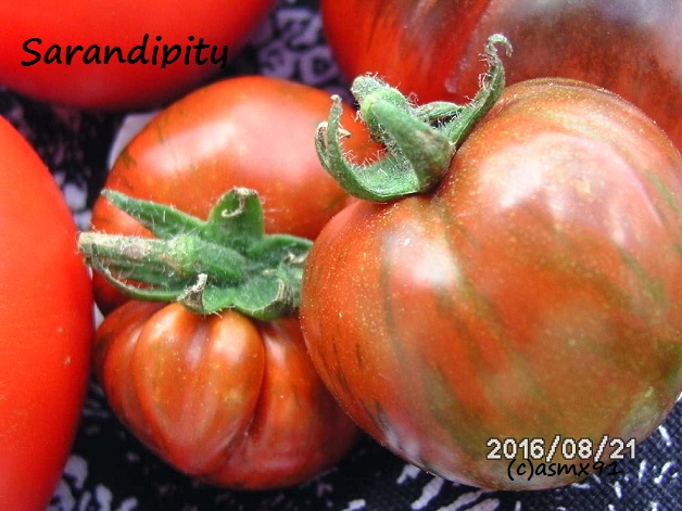 [Bild: bild0256hxsbt.jpg]