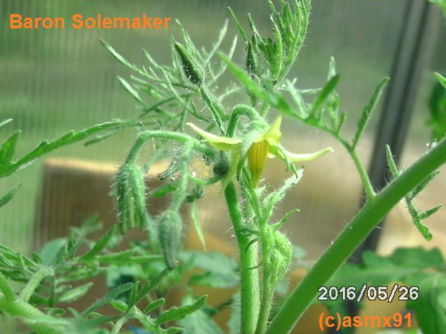 [Bild: bild025919sg6.jpg]