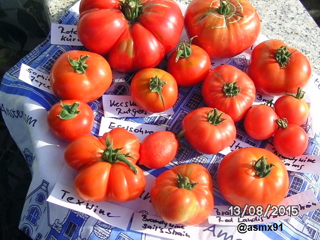 [Bild: bild0266c2z6i.jpg]