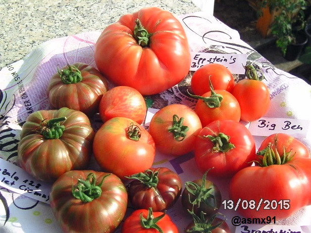 [Bild: bild02753sy1i.jpg]