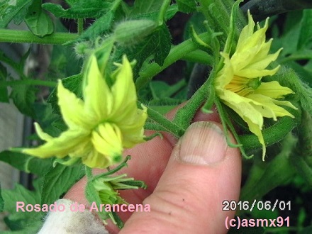 [Bild: bild0277wrut6.jpg]