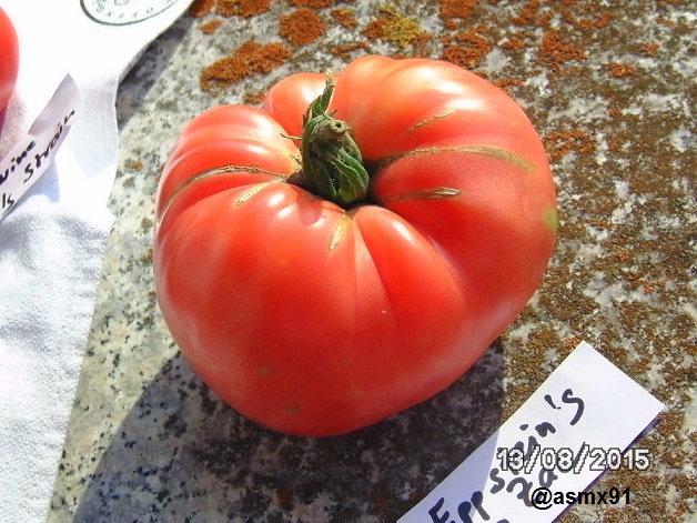 [Bild: bild02784zs1a.jpg]