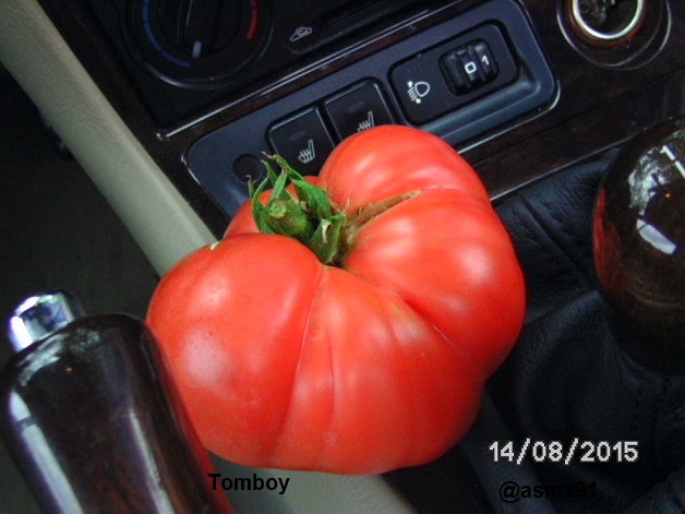 [Bild: bild0283whsjq.jpg]