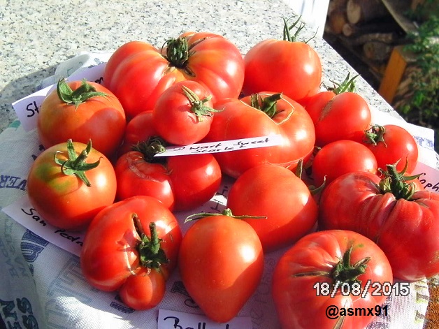 [Bild: bild0291dnupq.jpg]