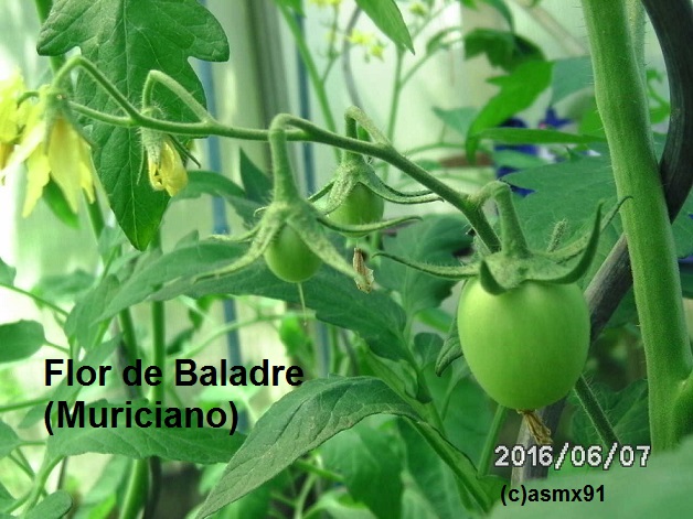 [Bild: bild0305wzadw.jpg]