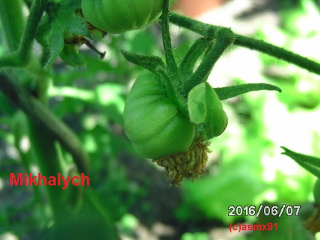 [Bild: bild0307i3aun.jpg]