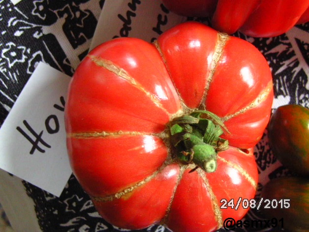 [Bild: bild0318e9una.jpg]