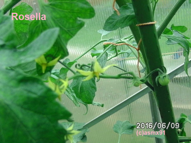 [Bild: bild0319kkst9.jpg]