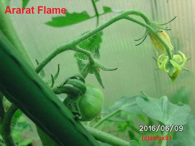 [Bild: bild0320sqsg4.jpg]