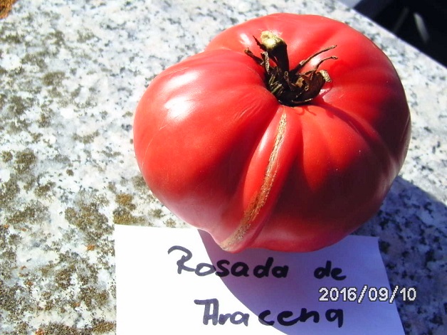 [Bild: bild03235ck77.jpg]