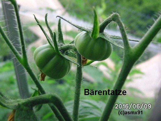[Bild: bild0323cas34.jpg]