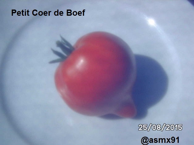 [Bild: bild0323f8oel.jpg]