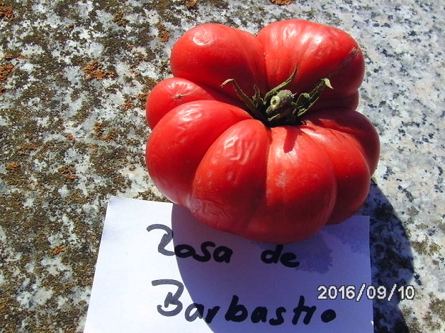 [Bild: bild0324ioj00.jpg]