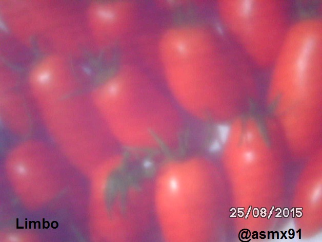 [Bild: bild03278usd7.jpg]