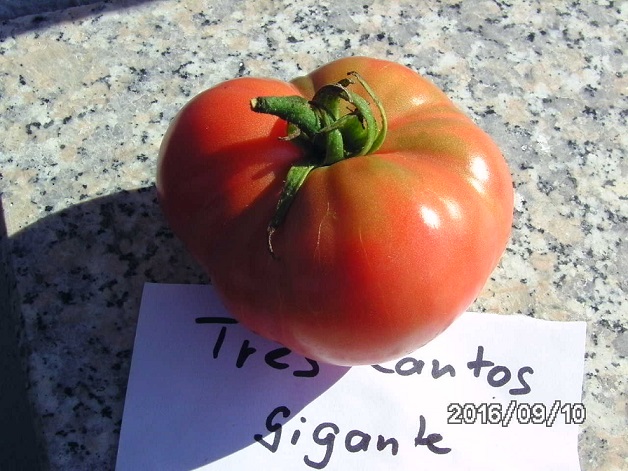 [Bild: bild0327xekug.jpg]