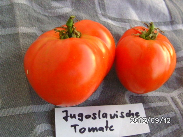 [Bild: bild0329q6pfj.jpg]