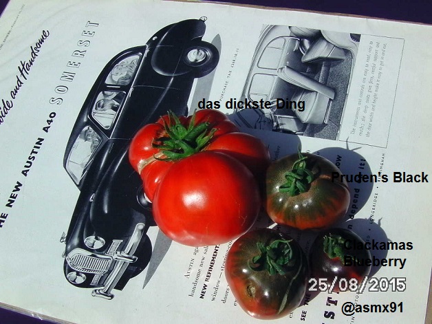 [Bild: bild0332rgsl9.jpg]