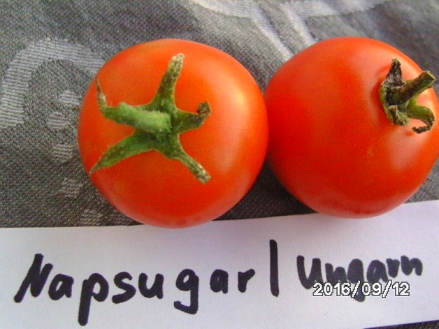 [Bild: bild03347drid.jpg]